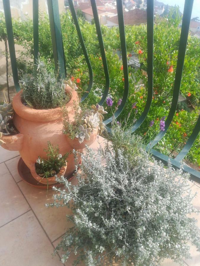 Apartman Betty Šibenik Buitenkant foto