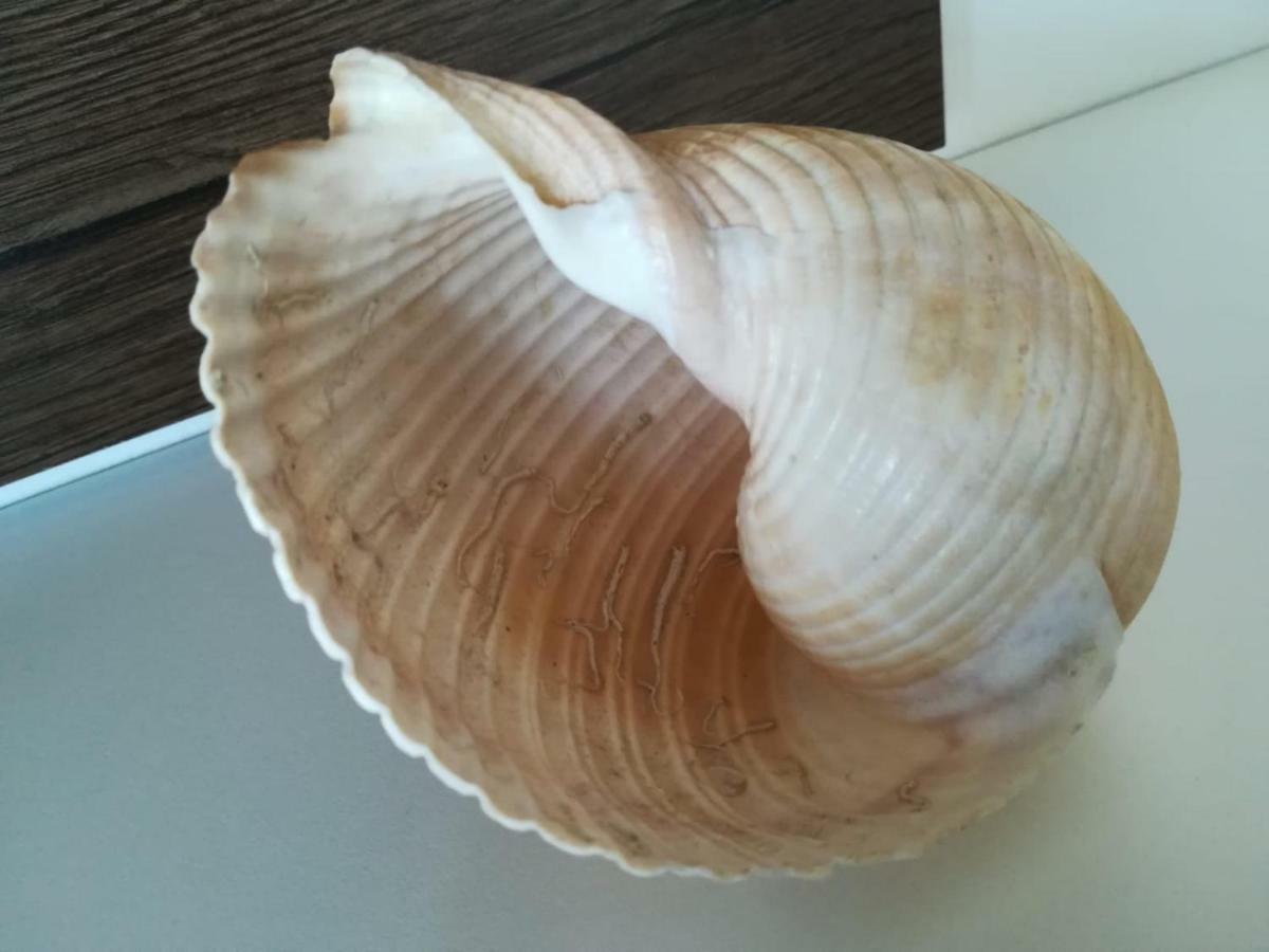 Apartman Betty Šibenik Buitenkant foto
